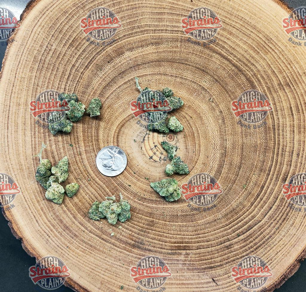 High Plainz Higher Shelf Granny Apple Fritter Bulk