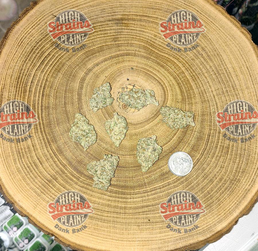 High Plainz Select PW Frosty Blue OG Bulk PW