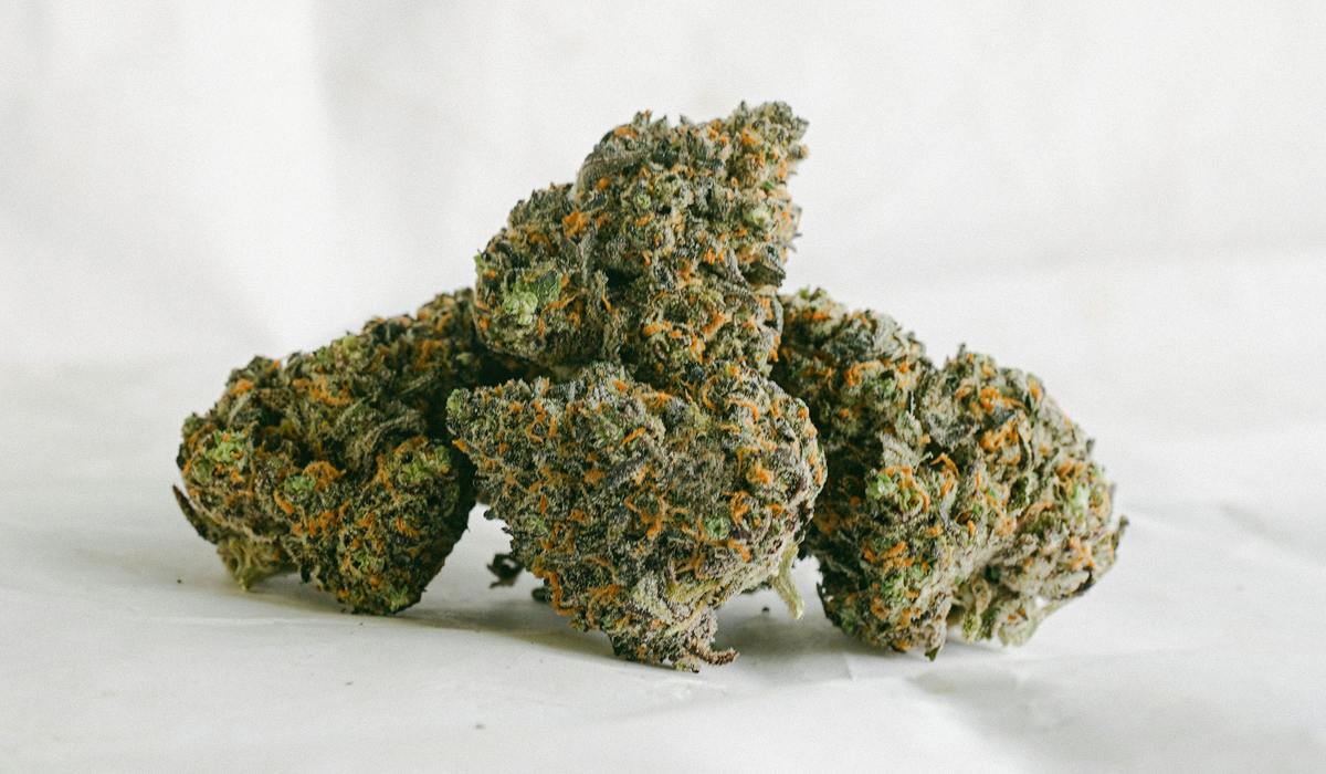 Mendo Breath | Premium Buds | Trawa Farm | Deli-style at DNA Dispensary