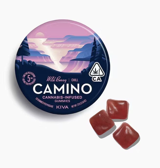 CAMINO — Chill - Wild Berry
