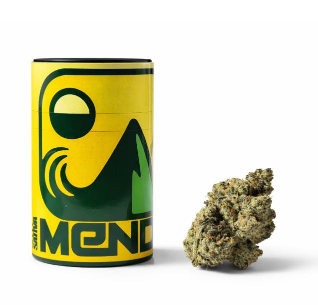 Mendo - Indoor — Lemon Bean