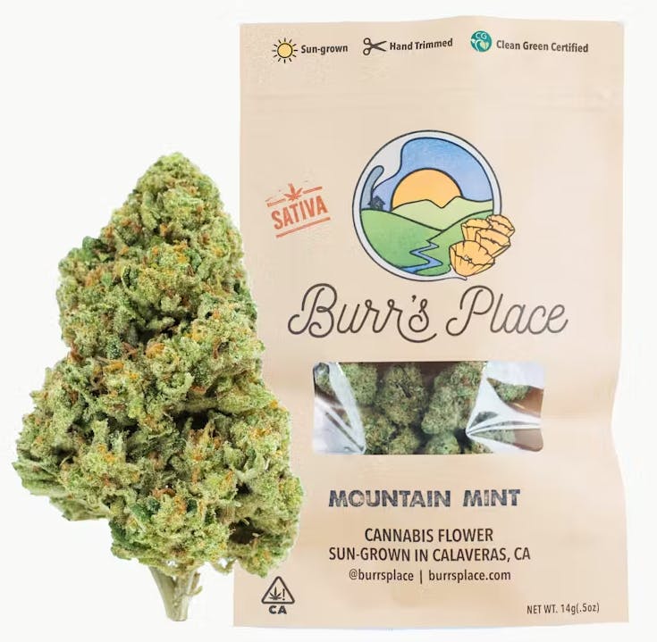 Burr's Place — Organics - - Mountain Mist