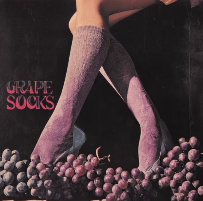 GREEN DRAGON - — Grape Socks