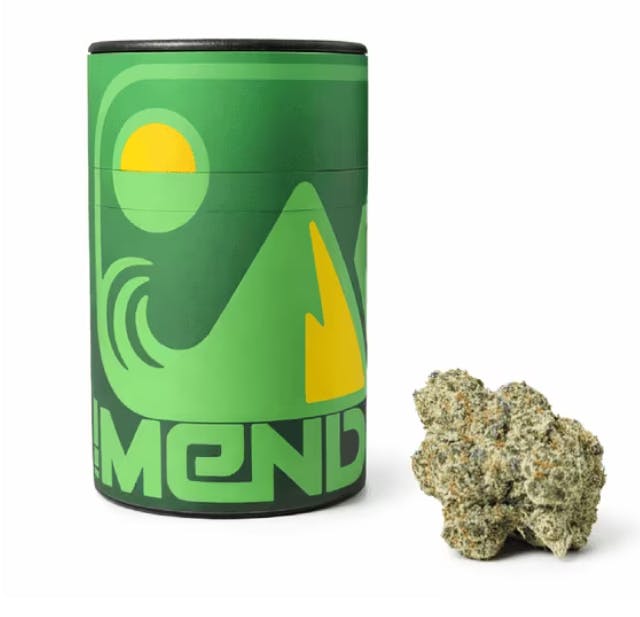 Mendo Indoor — Melonade