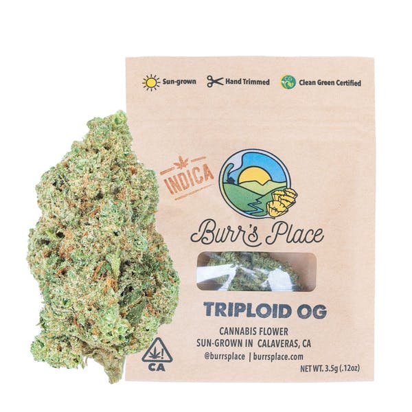 Burr's Place — Organics - - Triploid OG