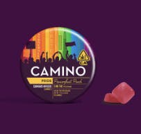CAMINO — Pride - Passionfruit Punch
