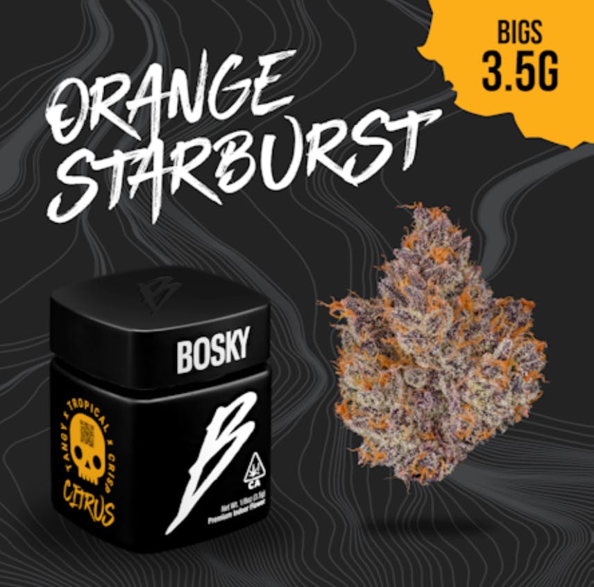 Bosky Genetics — Citrus - Orange Starburst