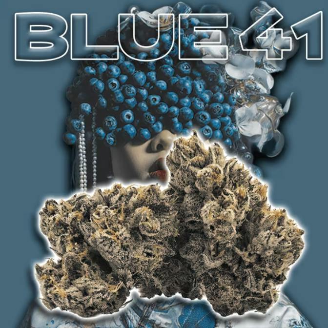 Green Dragon - Indoor 3.5g Eighth - Blue 41 (Is)
