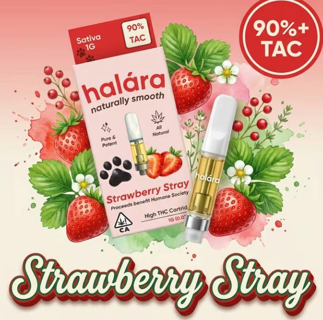 Halara - HIGH THC CARTRIDGE 1g - Strawberry Stray (S)