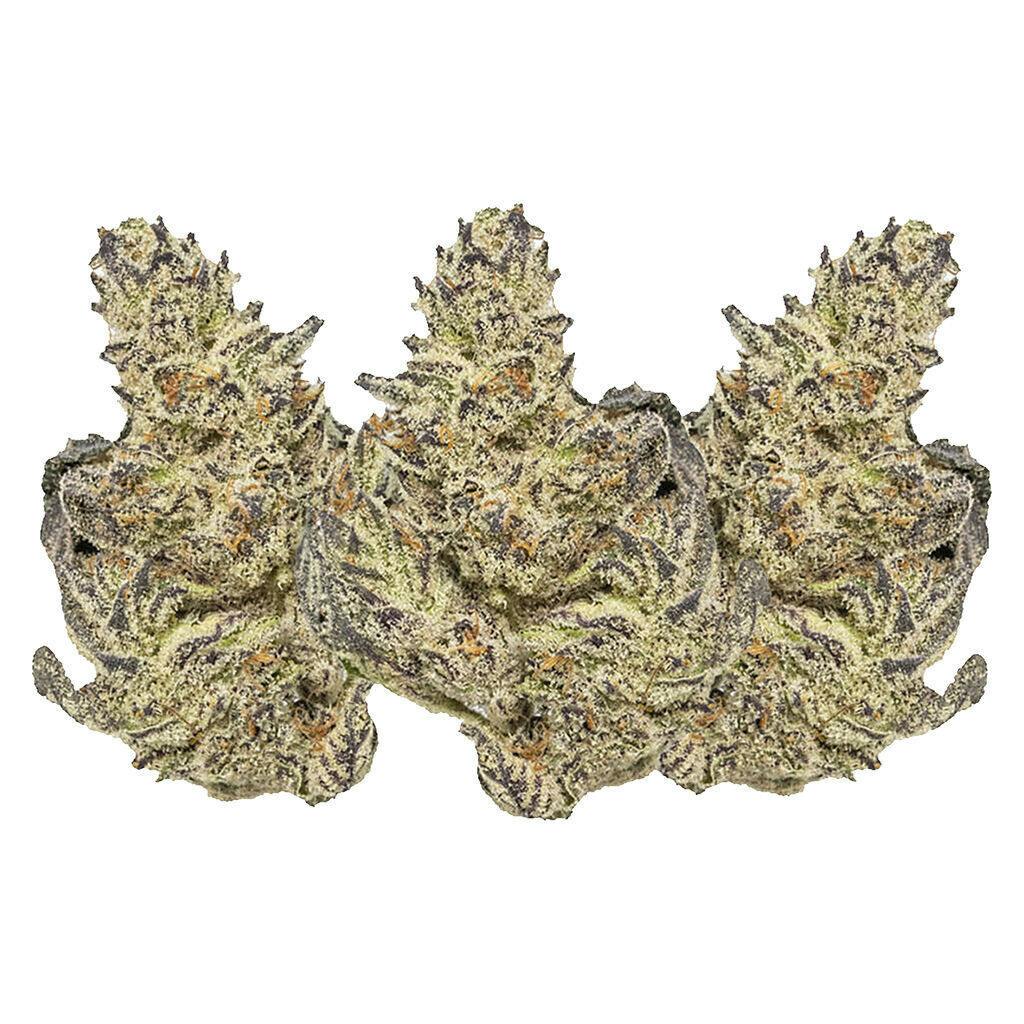 Eleven Eleven Legacy Craft - White Truffle - Indica - 7g