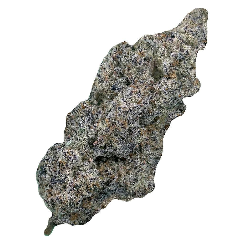 Cultures Chloris - Truffaloha - Hybrid - 7g