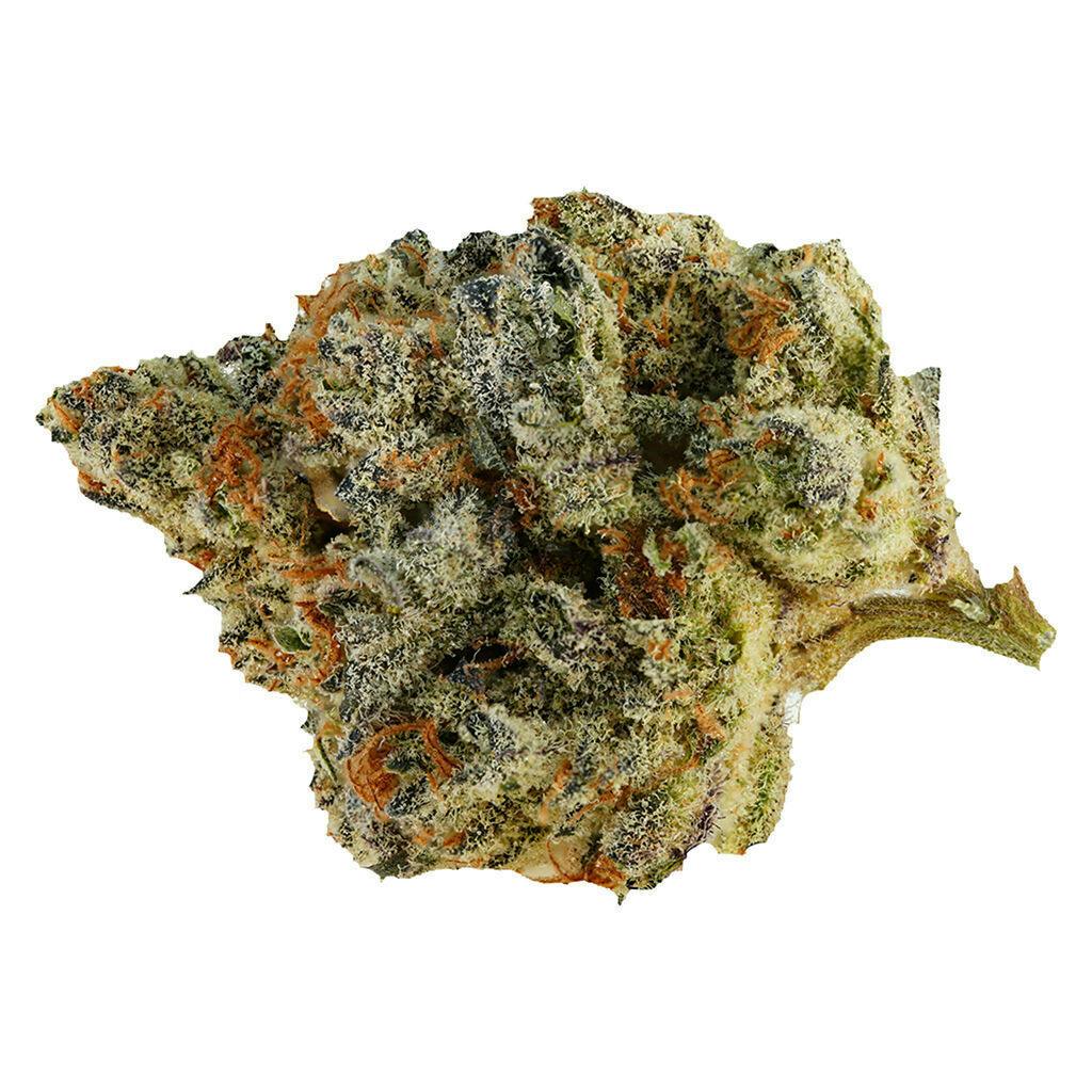 Highland Special - Mooregate Morning M'Mosa (By Zane) - Sativa - 14g