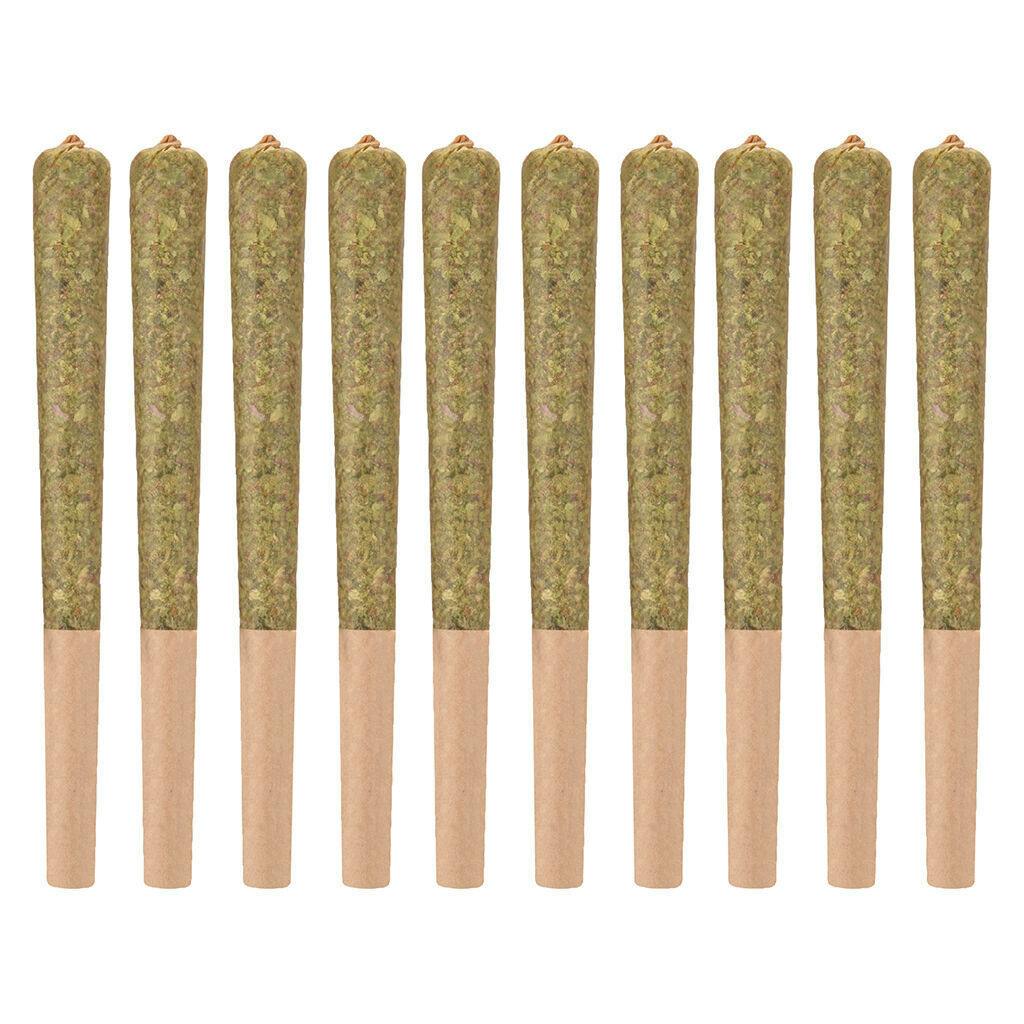 Woody Nelson - Rainbow Driver Craft Pre-Roll - Hybrid - 10x0.5g