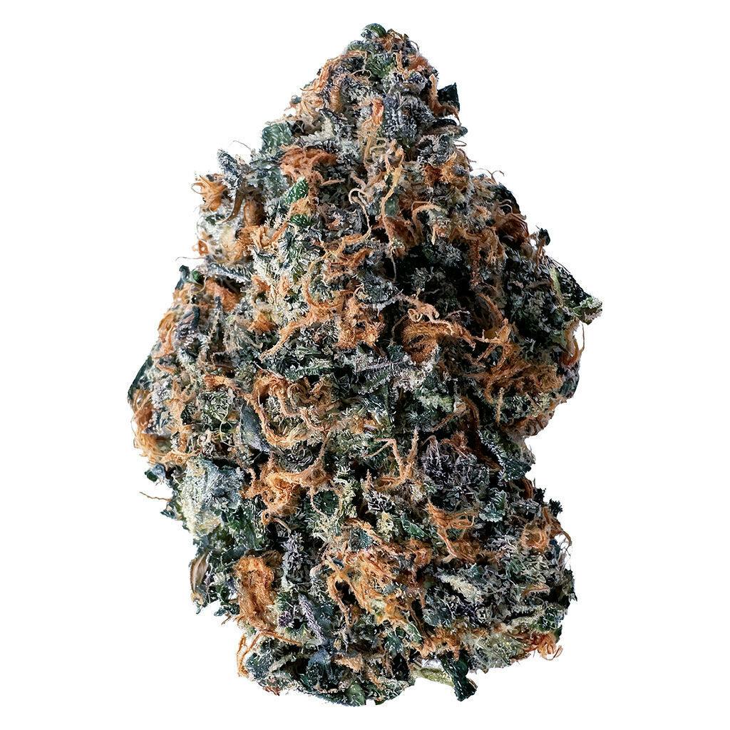 Tenzo - Blue Bath - Hybrid - 14g