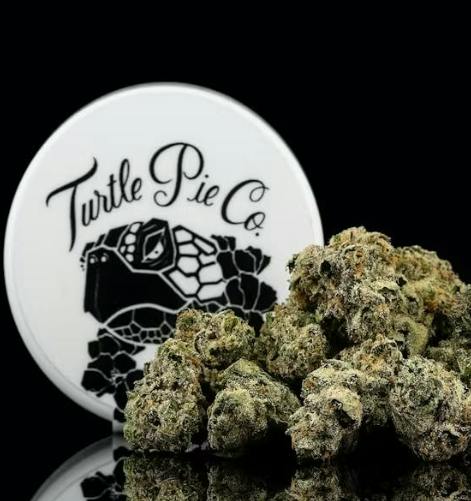 TROPEZ NOIR - 3.5G - TURTLE PIE