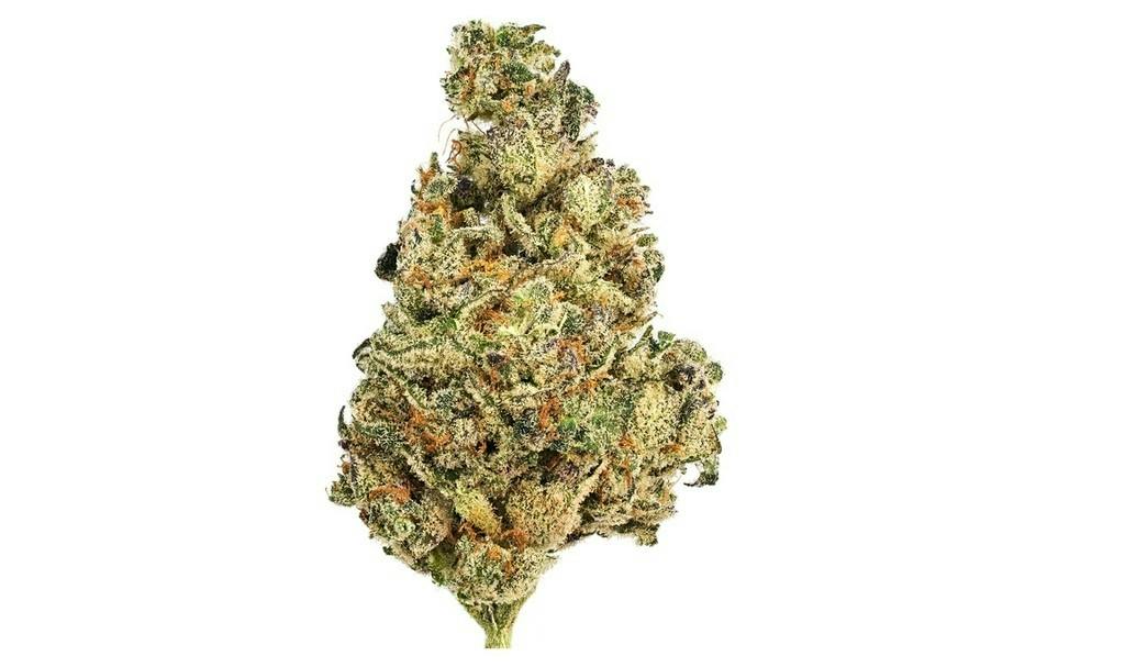 Green Dragon CHRY PNCH Kush 3.5g at Green Dragon Dispensary - Panama City
