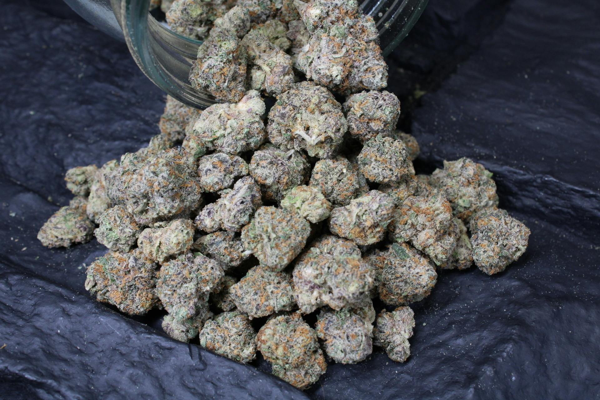 Jive | Gelato #41 (Indica Hybrid) - 3.5g