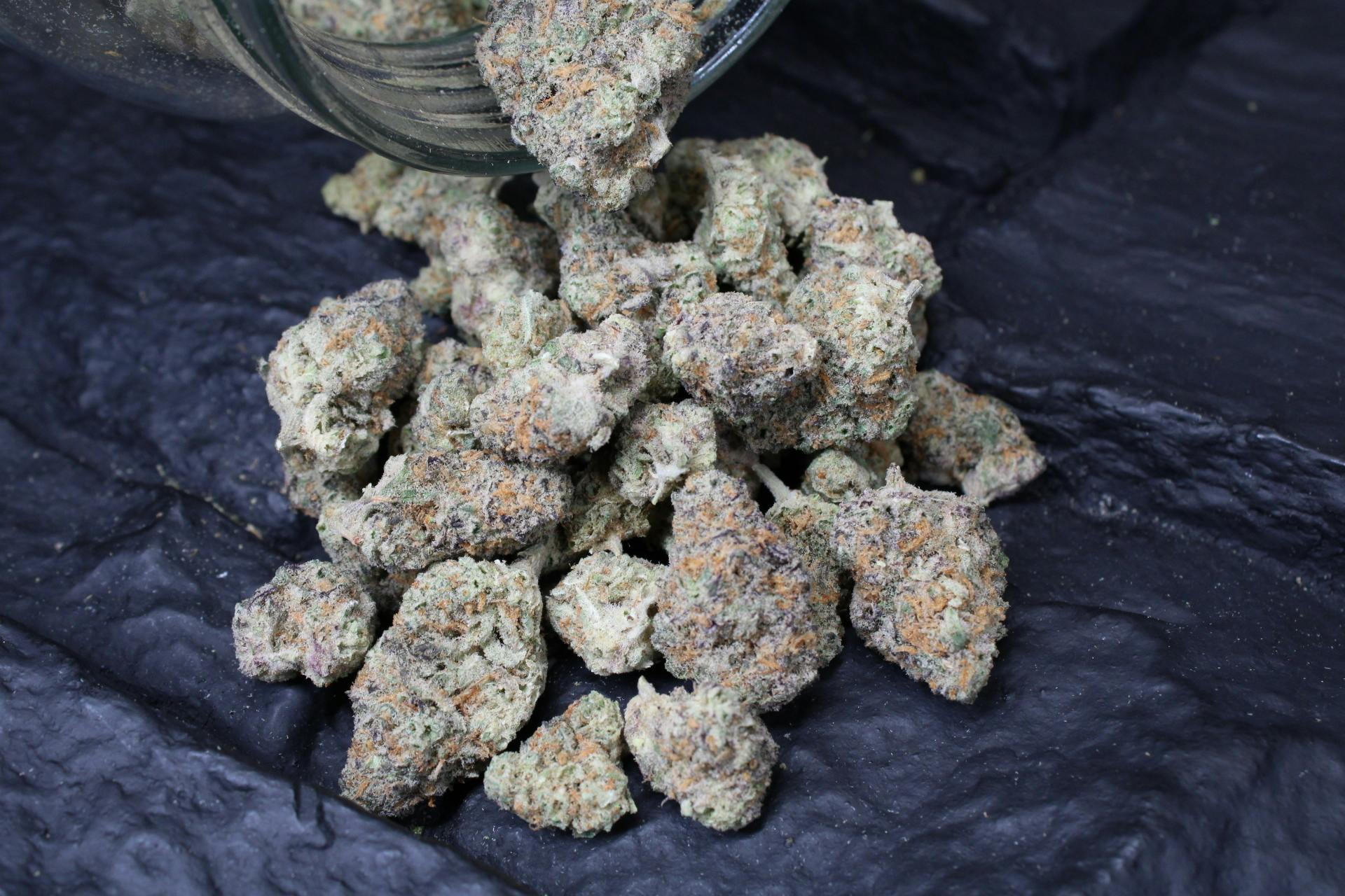 Jive Cannabis Co. | Orange Apricot Mac (Sativa) - 3.5g