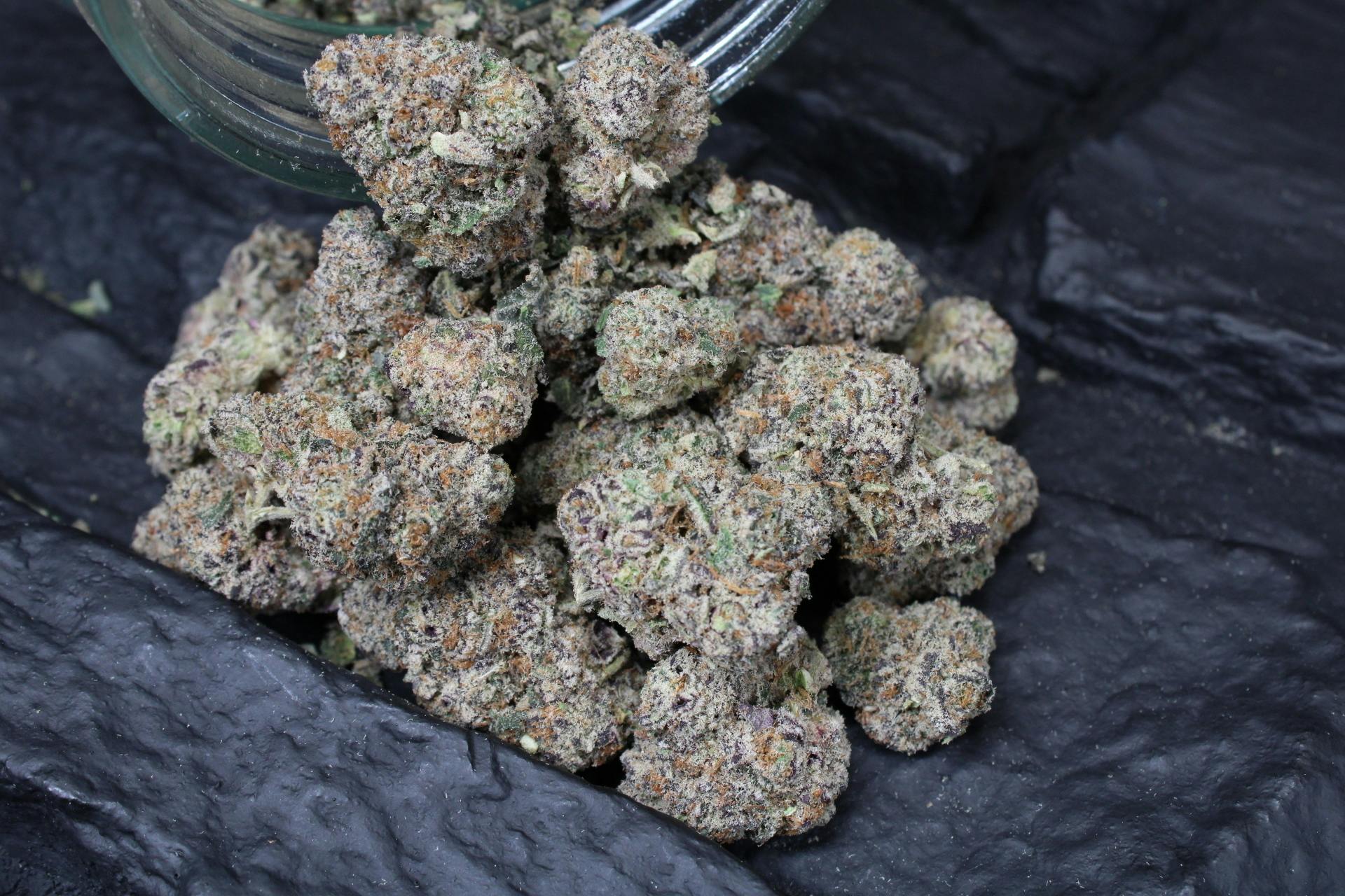 Purple Jellato