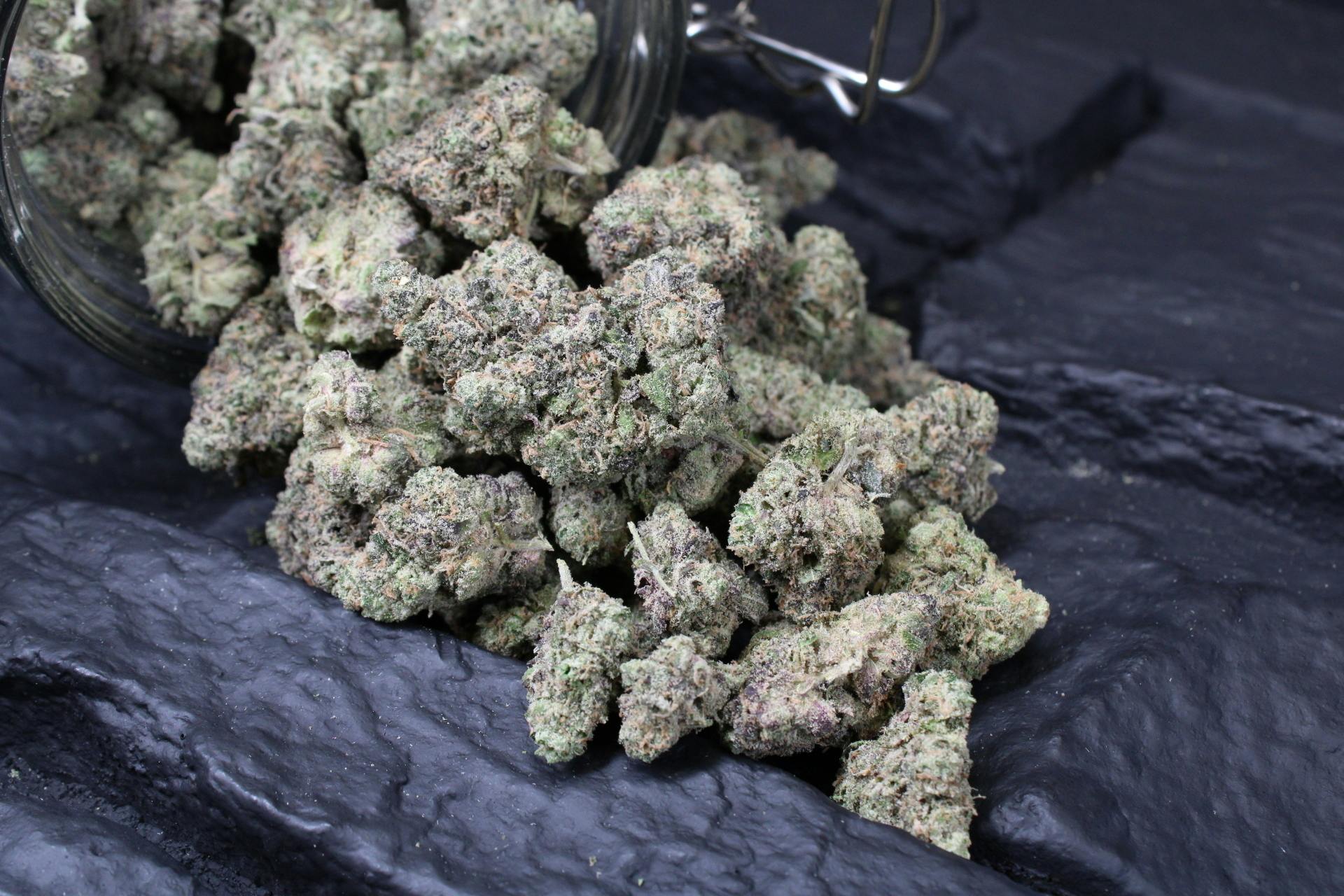 Jive - Skunkhead - 28g