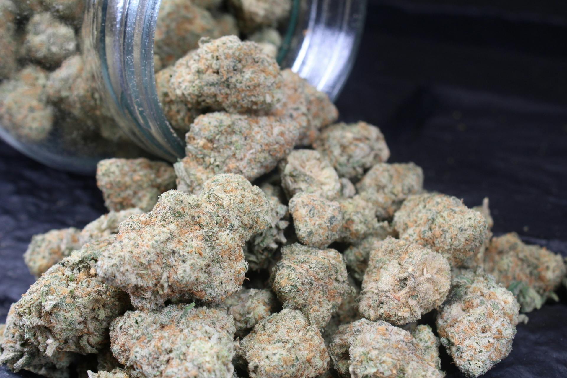 Jive Cannabis Co. - White Hot Guava (Hybrid Indica) - 28G