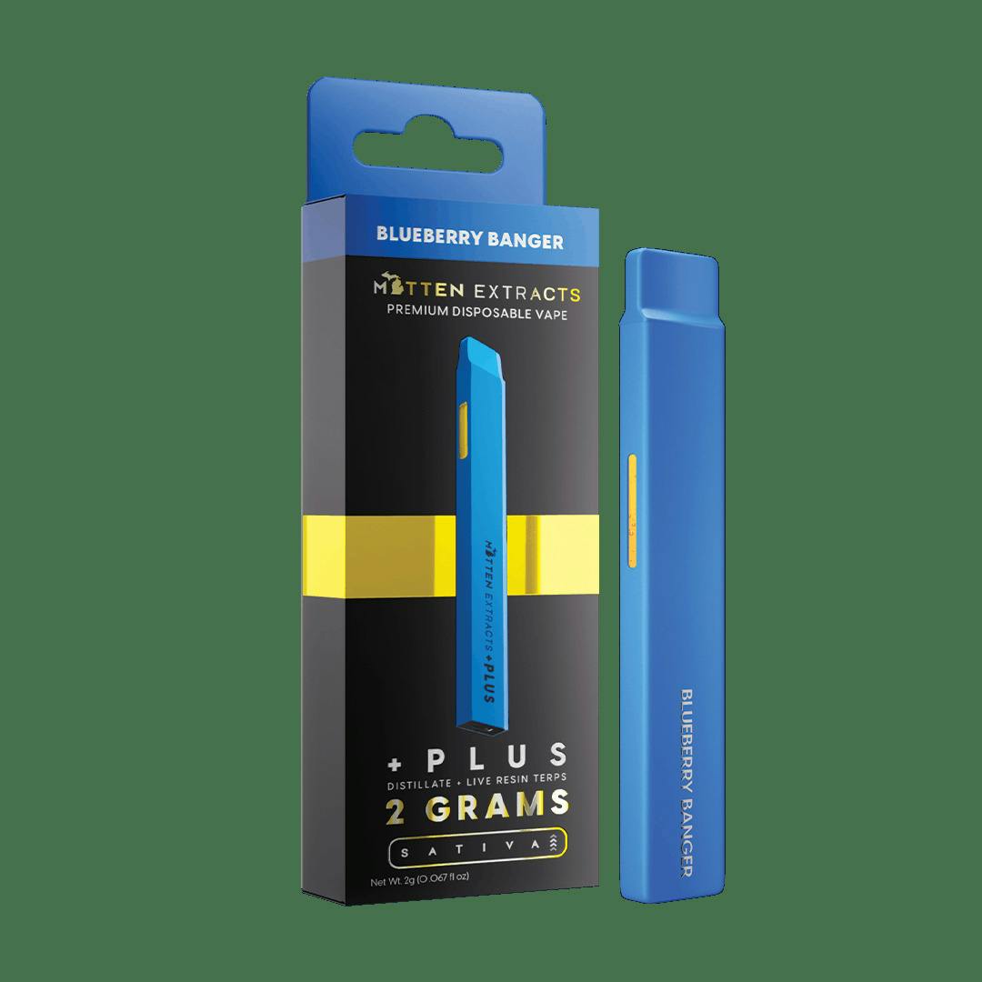 Blueberry Banger Disposable