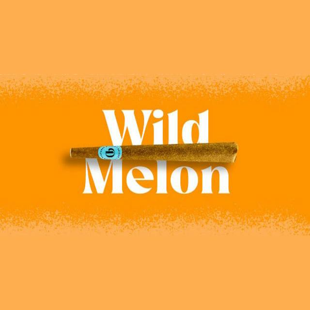 Doinks Infused Blunt | Wild Melon 1g Rec