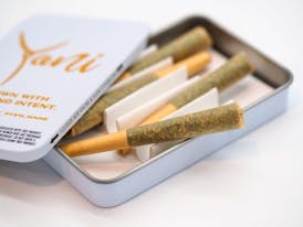 0.5G PreRoll Pack (2) Waiting Game (s/h) - Yani