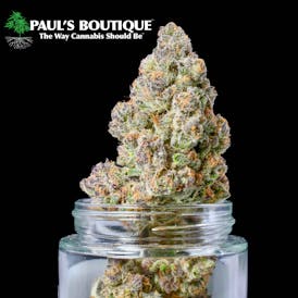 EIGHTH CRYO KUSH GMO (i/h) - Paul's Boutique