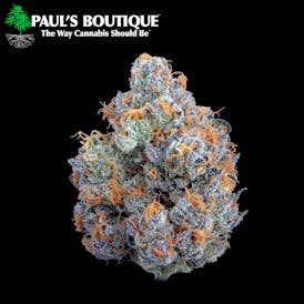 EIGHTH Cheetah Piss (h) - Paul's Boutique