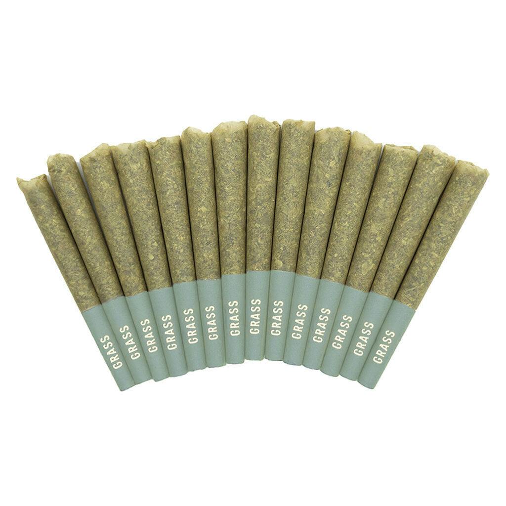 Bangerine Pre-Roll