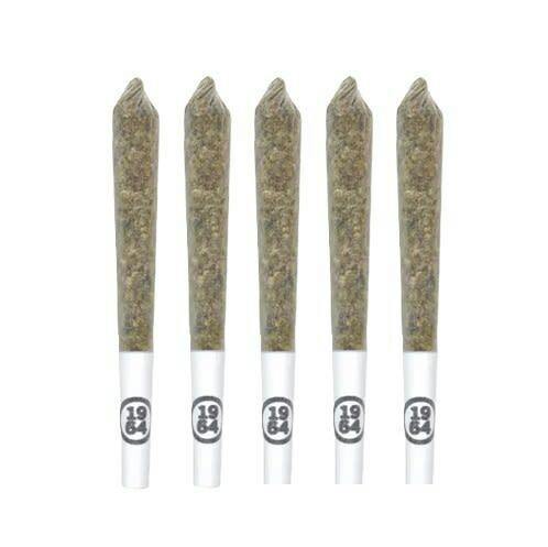 1964 - Comatose 5x0.5g Pre-Rolls