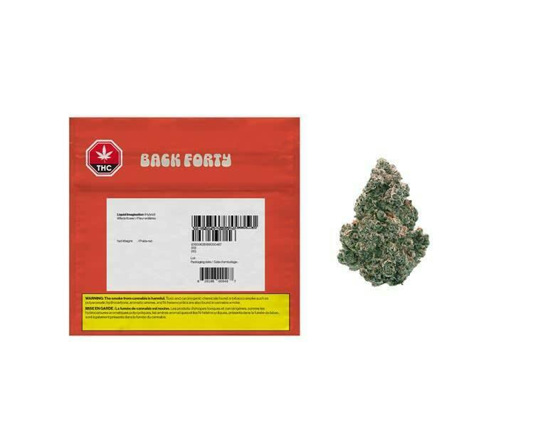 Back Forty - Liquid Imagination 28g Dried Flower