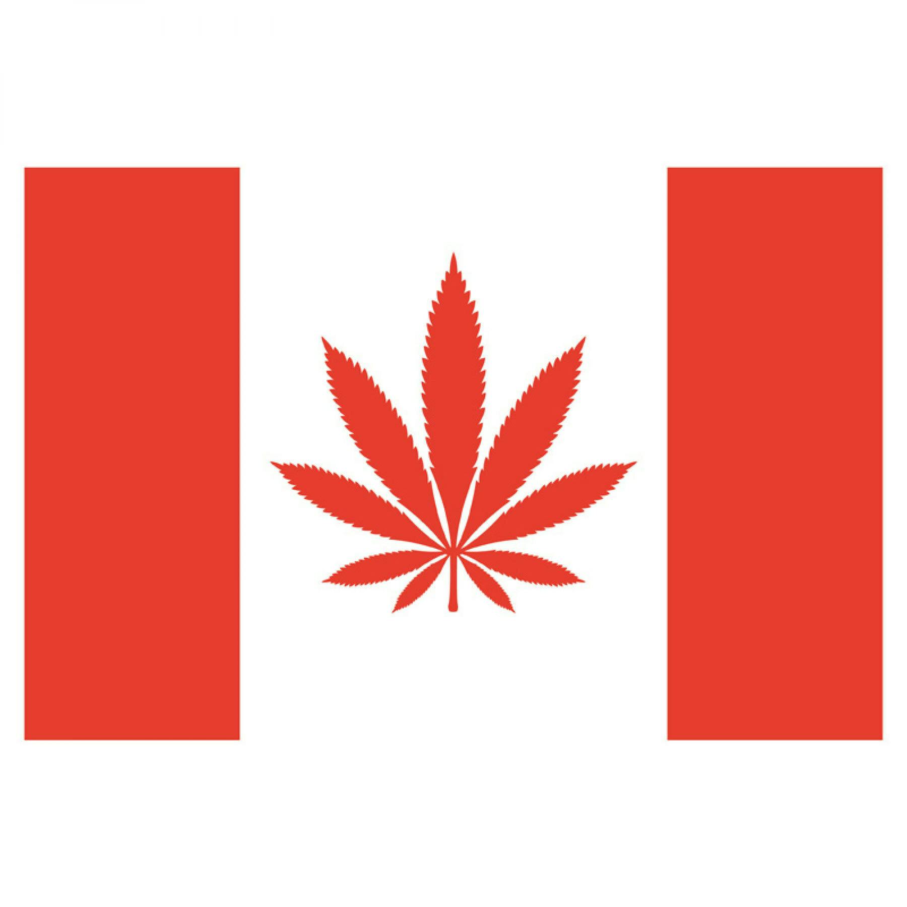 My Dab Mat - Canada Leaf Dab Mat (11" x 8.5")