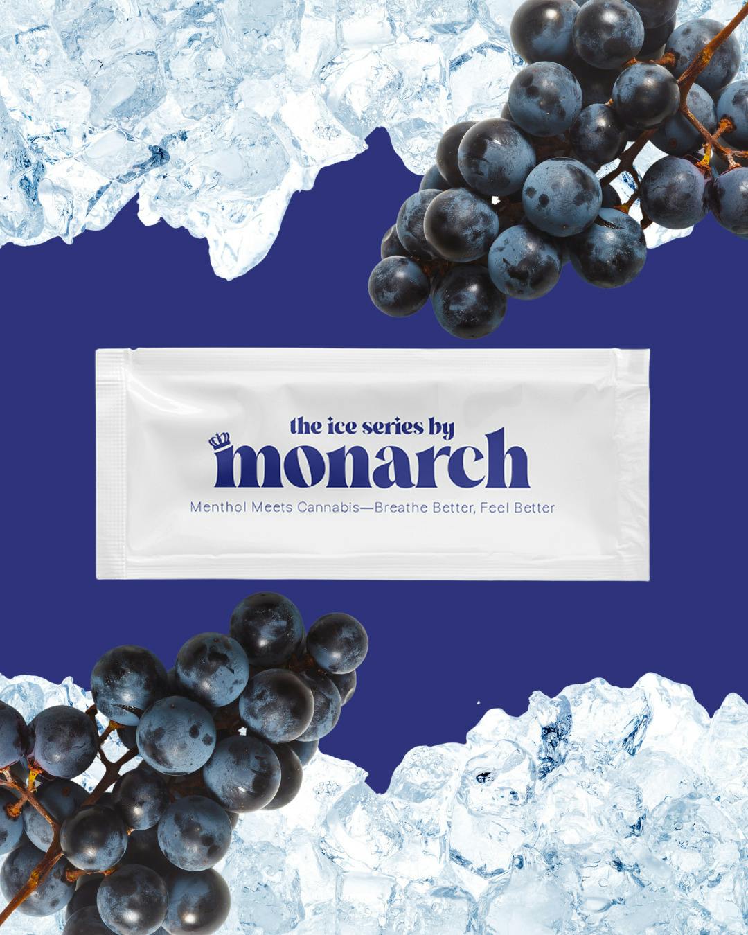 Grape Ice Disposable Vape (1g)