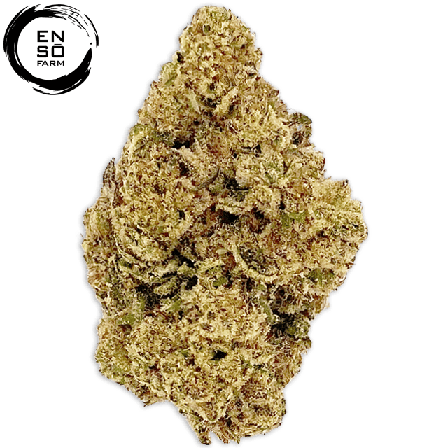 PACK MULE (3.5G)