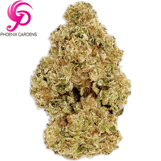 GELATO CAKE (3.5G)
