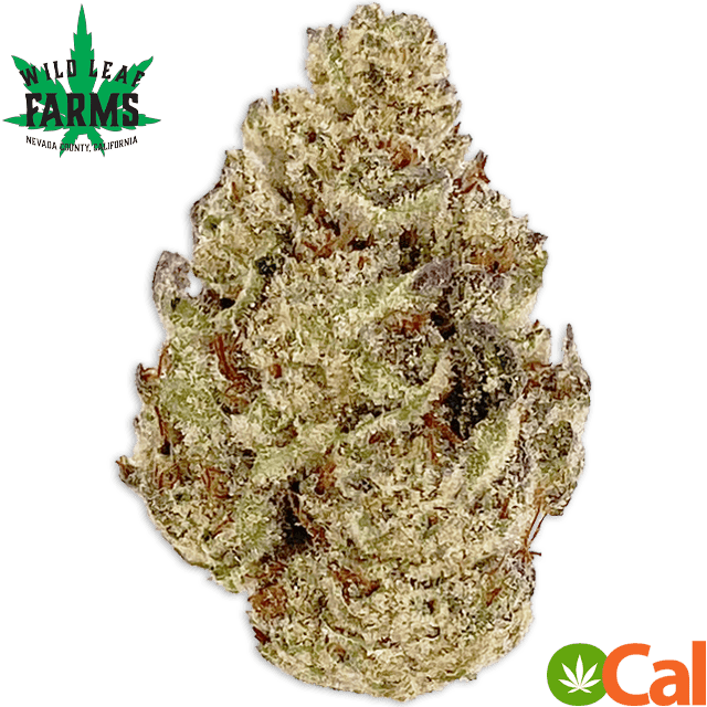 SLAPZ (3.5G) at Elevation 2477' Cannabis Dispensary
