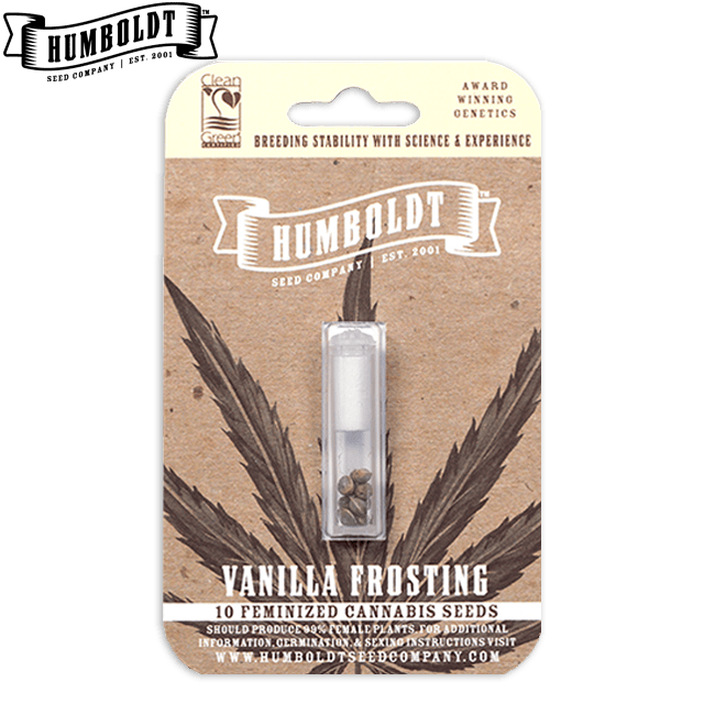 VANILLA FROSTING - 10 FEMINIZED SEEDS