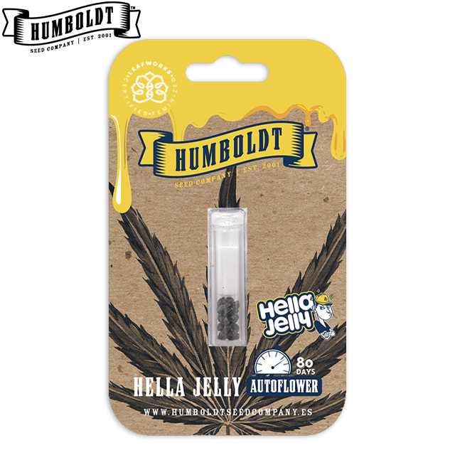 HELLA JELLY - AUTOFLOWER 10 FEMINIZED SEEDS
