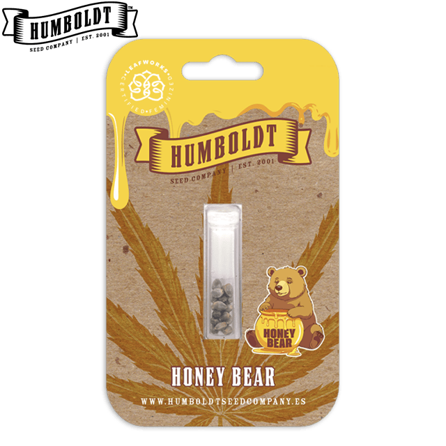 HONEY BEAR - 10 FEMINIZED SEEDS