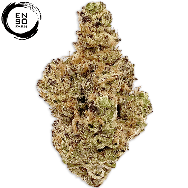 COUP D'ETAT (3.5G) at Elevation 2477' Cannabis Dispensary