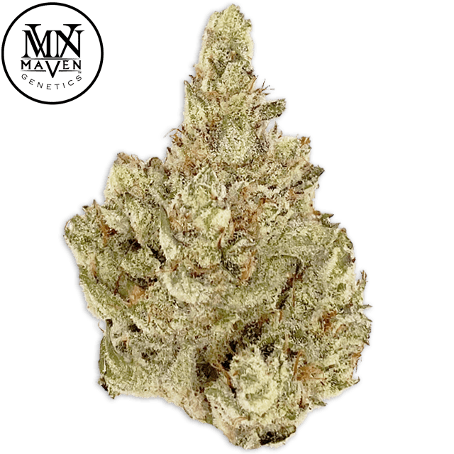 PINEAPPLE BISCOTTI (1G) at Elevation 2477' Cannabis Dispensary