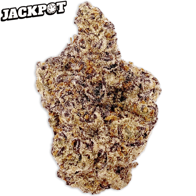 BANGKOK PURPLE (3.5G) at Elevation 2477' Cannabis Dispensary