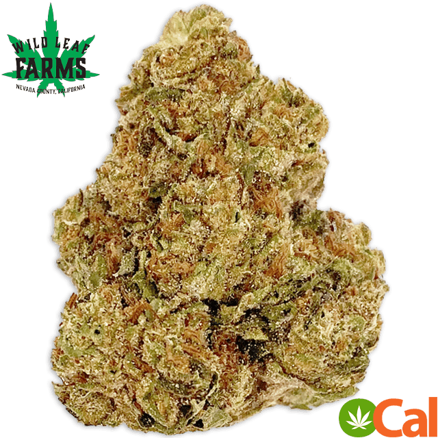 GRILLED PEACHES (3.5G) at Elevation 2477' Cannabis Dispensary