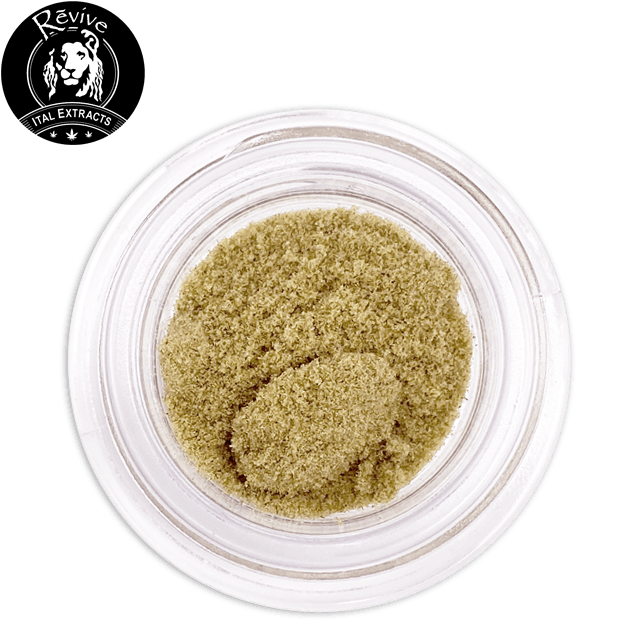 GOVERNMINT OASIS - BUBBLE GRADE HASH (1G)