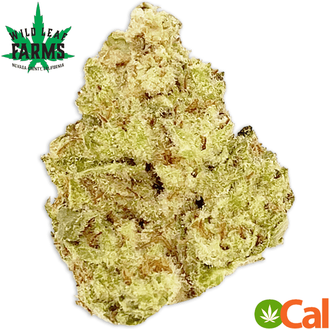 SOUR GUAVA (3.5G)
