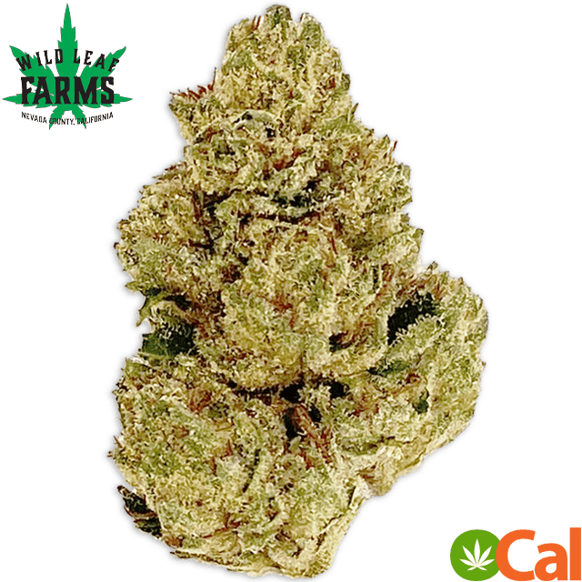 OGRE (3.5G) at Elevation 2477' Cannabis Dispensary