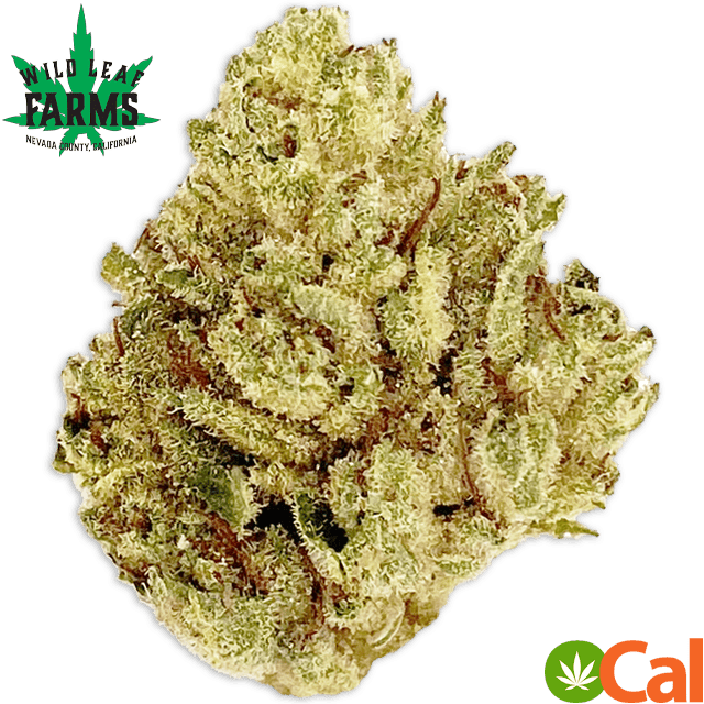 GG4 (3.5G) at Elevation 2477' Cannabis Dispensary
