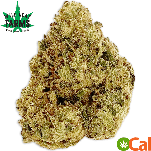 CALI LIMEZ (3.5G) at Elevation 2477' Cannabis Dispensary